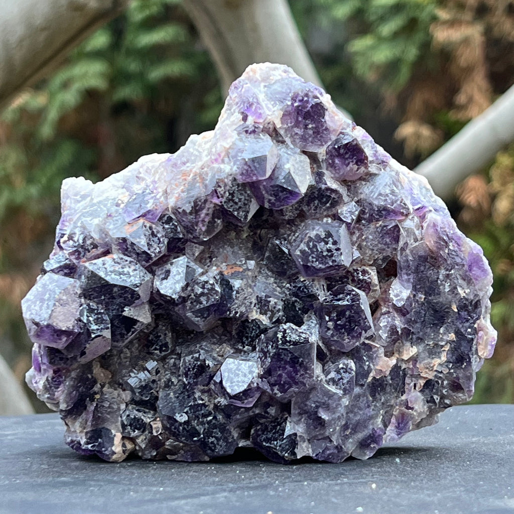 Cluster ametist crud Zambia model 2, druzy.ro, cristale 1