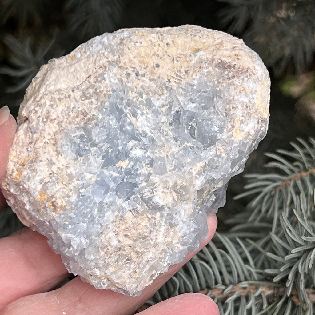 Celestit /celestina cluster m9, pietre semipretioase - druzy.ro 4 