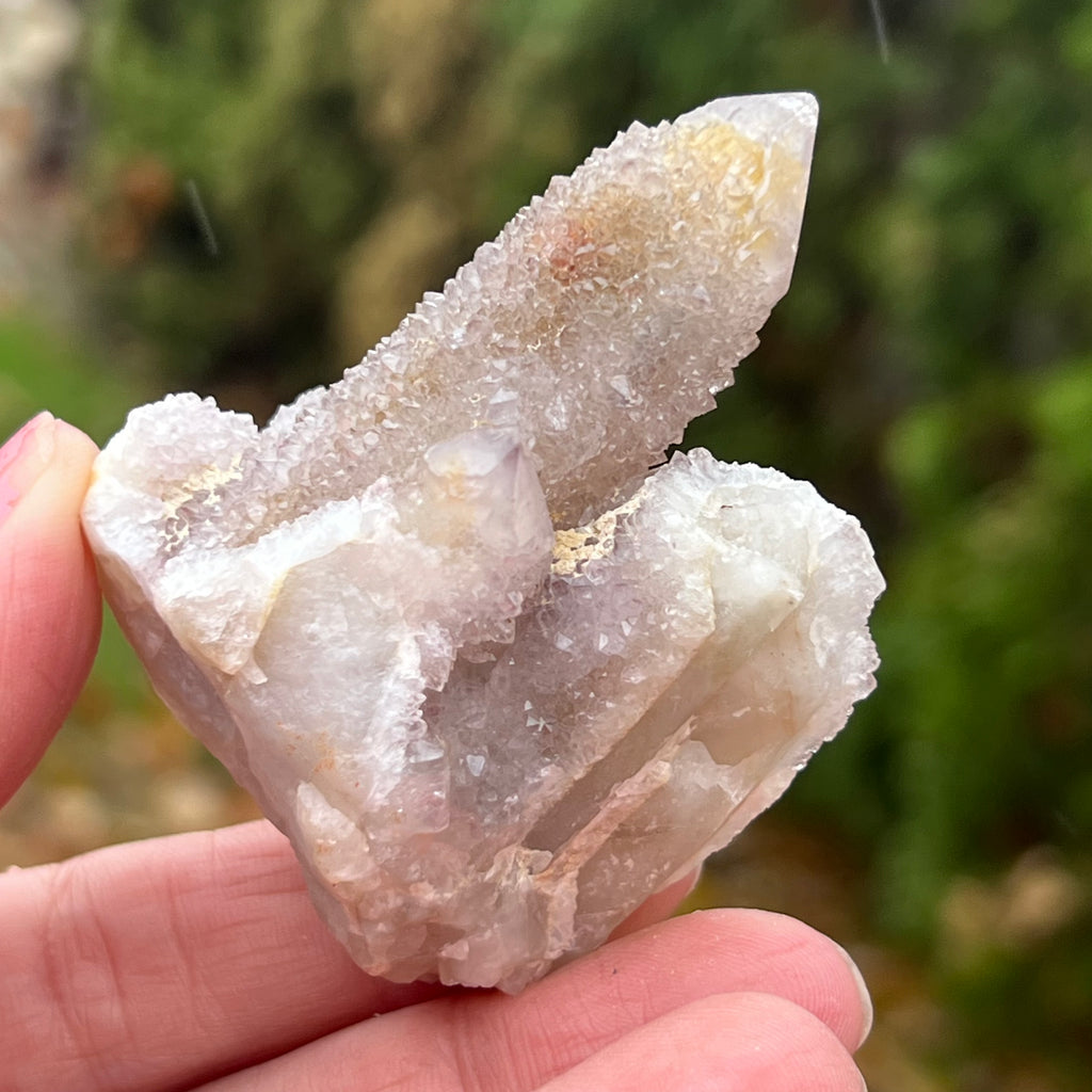 Cluster cuart spirit/cuart cactus mini model AF3/7, druzy.ro, cristale 1