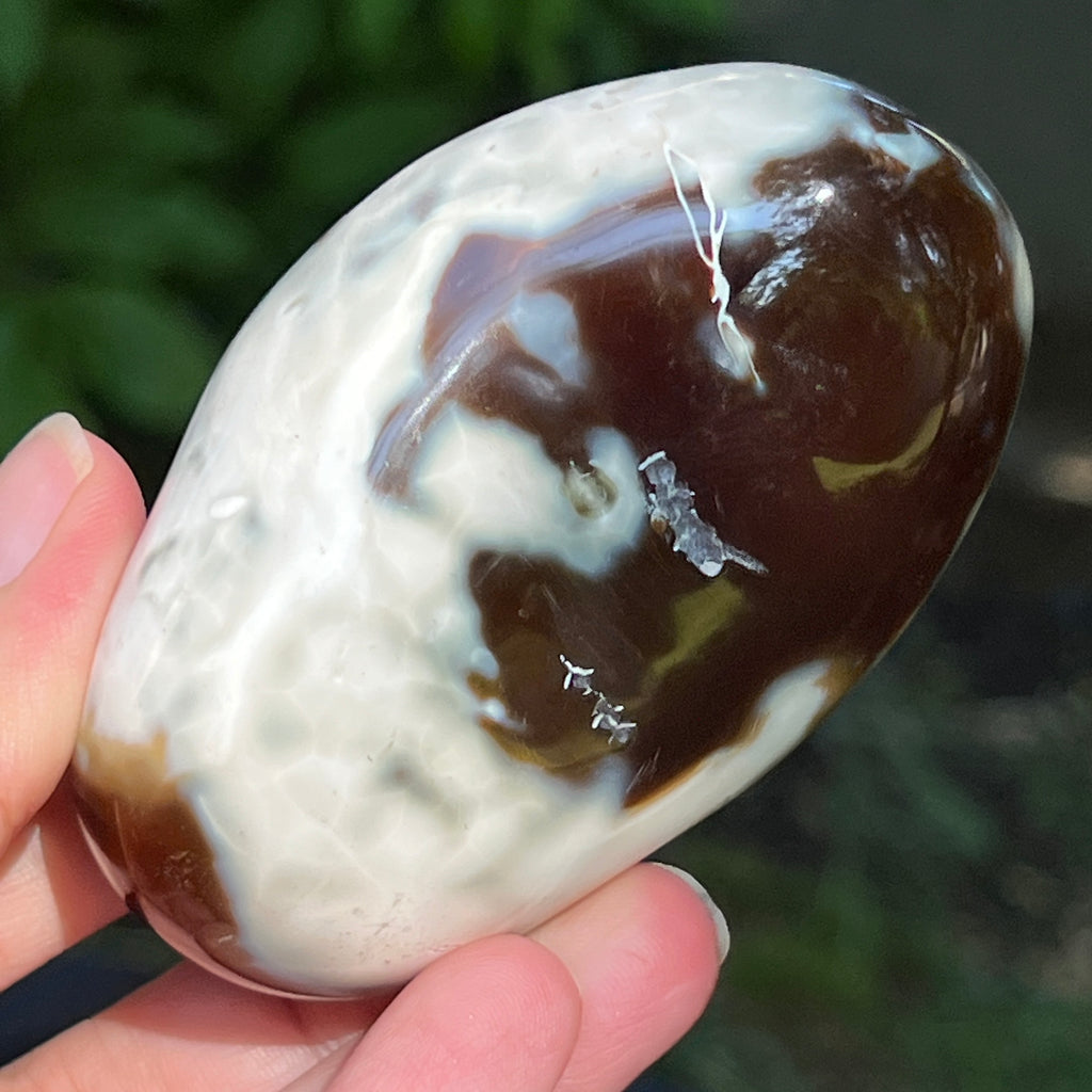 Agat Orca palmstone model 9, pietre semipretioase - druzy.ro 2 