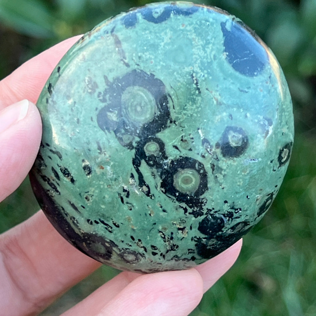 Palmstone jasp kambaba model 8, pietre semipretioase - druzy.ro 2 