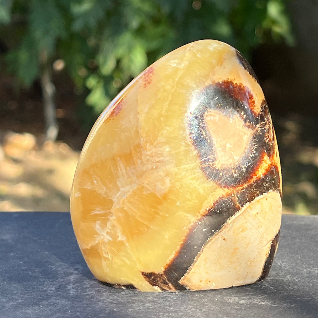 Septaria structura forma libera m4, piatra dragonului, druzy.ro, cristale 8