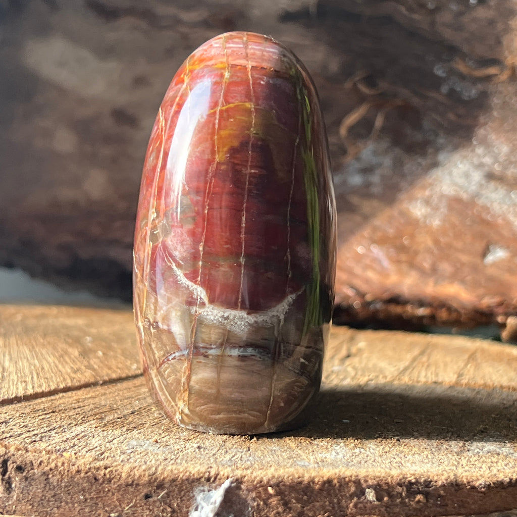 Lemn pietrificat sculptura model 3, pietre semipretioase - druzy.ro 4 
