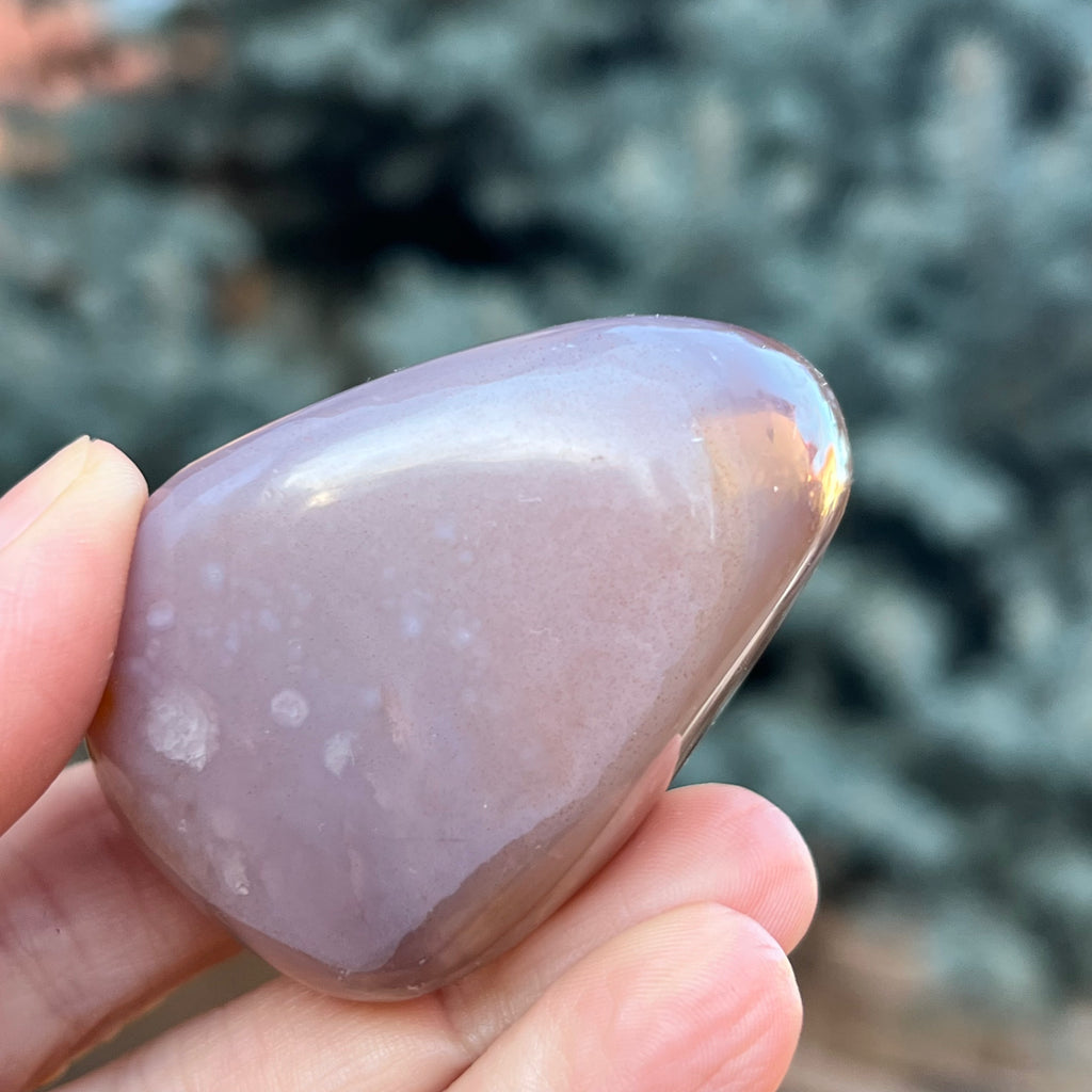 Agat de Botswana palm stone m5A, druzy.ro, cristale 2