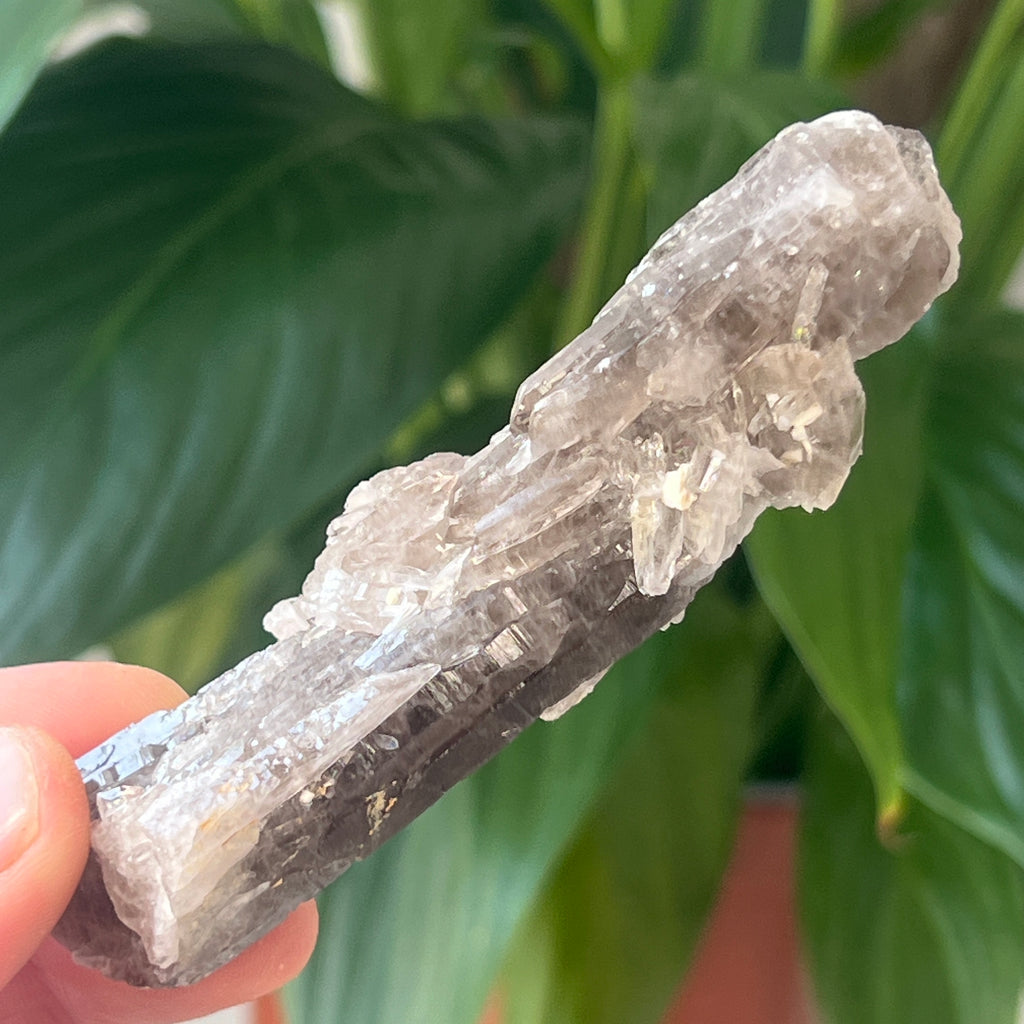 Cuart fumuriu generator/varf mina Brandberg | Model L16, pietre semipretioase - druzy.ro 2 