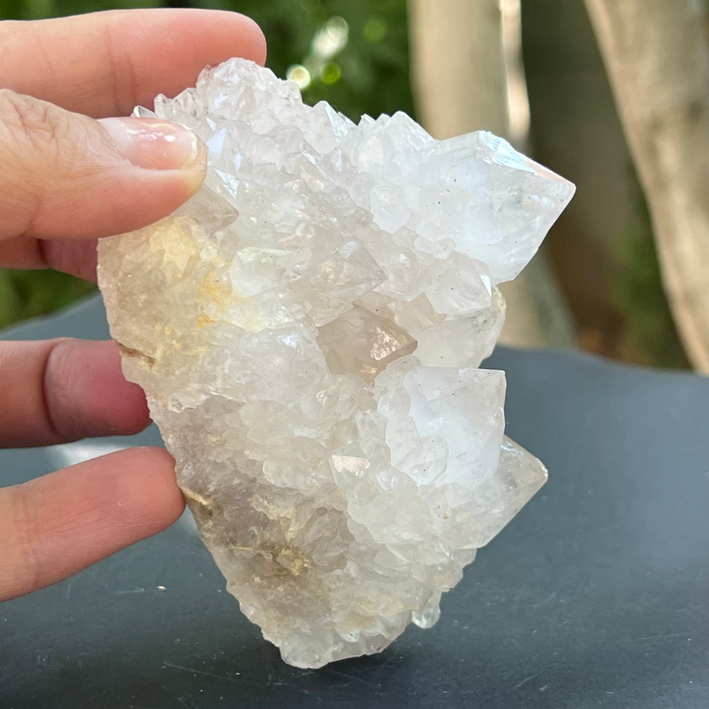 Cluster cuart cactus / cuart spirit FLOWER model F6, druzy.ro, pietre semipretioase 5
