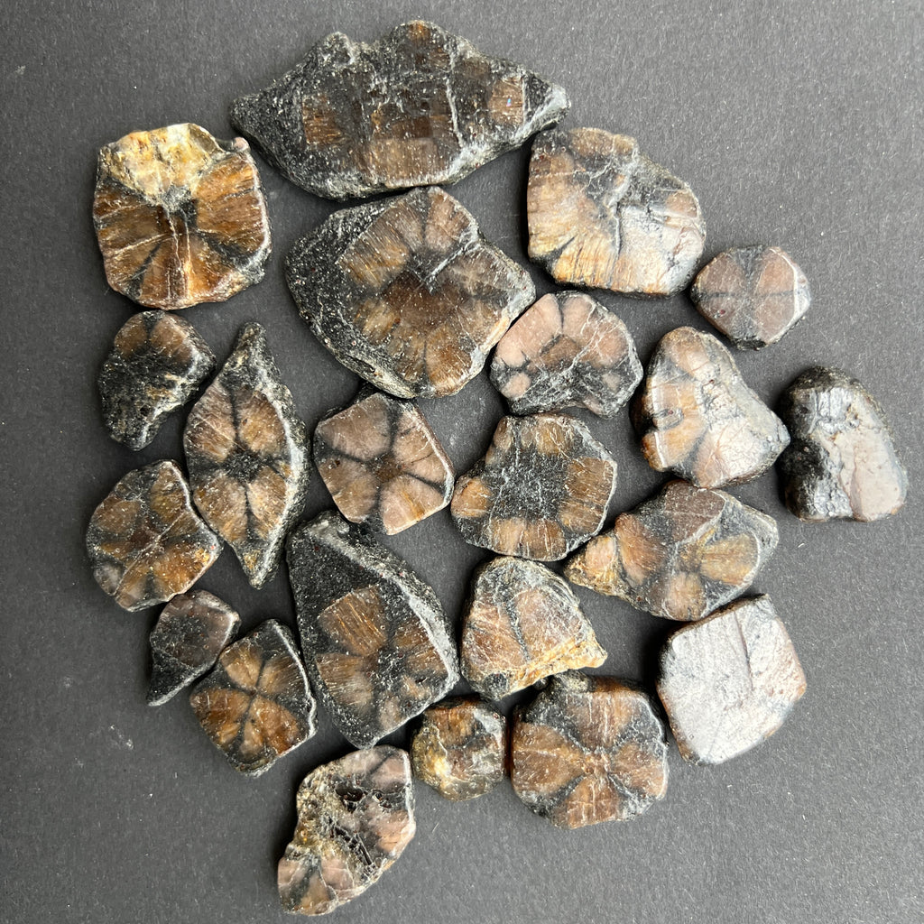 Andaluzit - Piatra Crucii -Chiastolit piatra rulata plata, pietre semipretioase - druzy.ro 1 