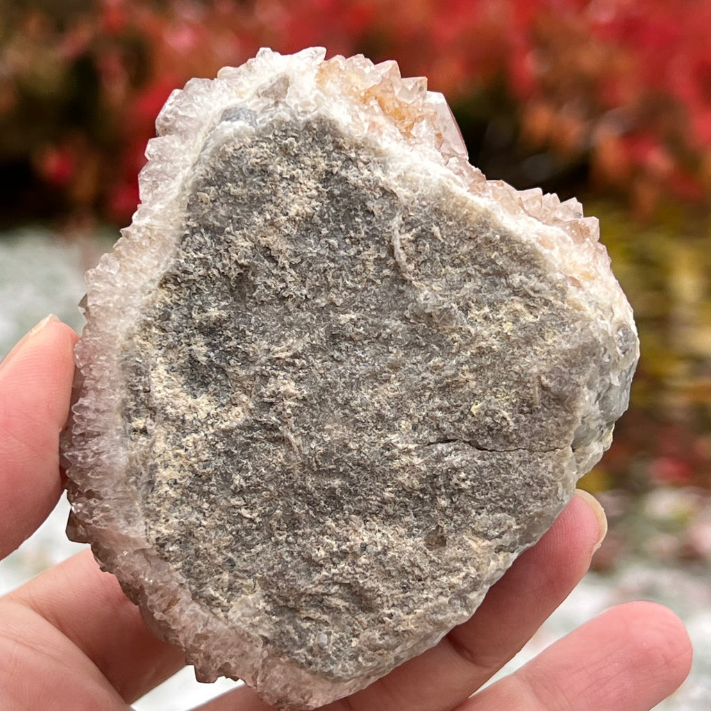 Cluster cuart cactus / cuart spirit ametist model 13A, druzy.ro, cristale 6