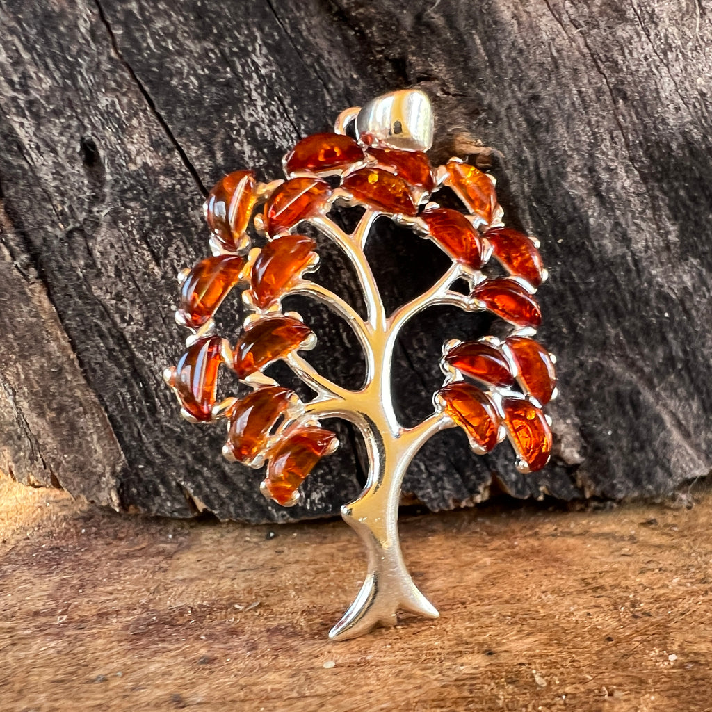 Pandantiv argint cu chihlimbar Amber15, pietre semipretioase - druzy.ro 1 