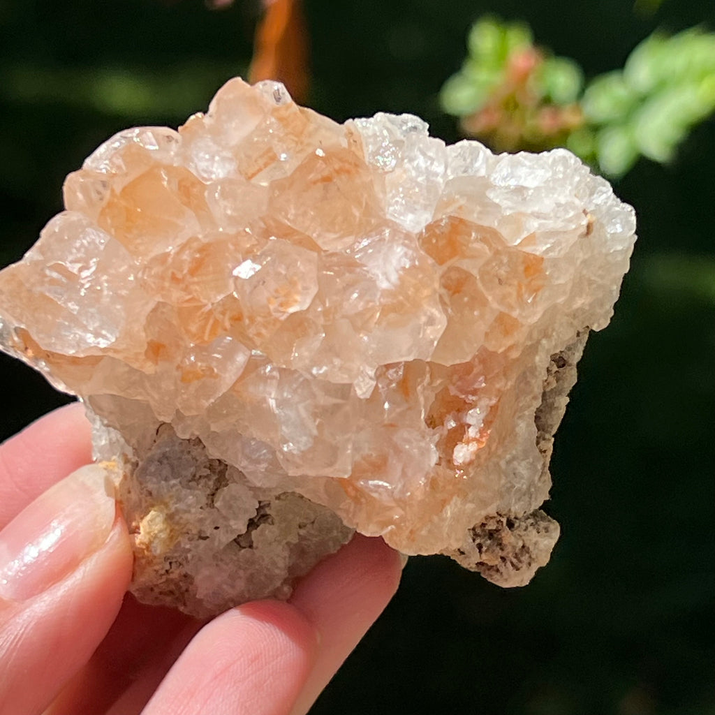 Cluster cuart lamaie Zambia, golden healer model Lm10, pietre semipretioase - druzy.ro 2