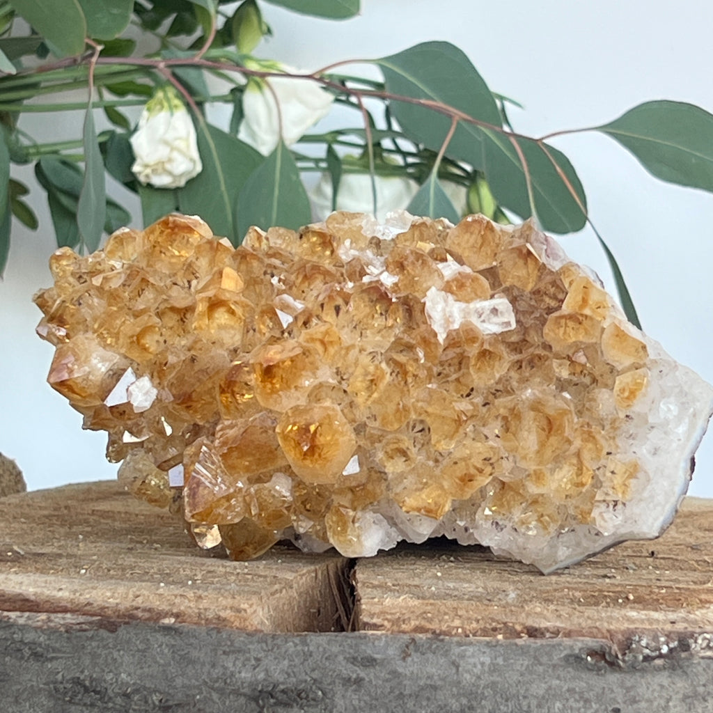 Cluster de Citrin tratat termic| Model 6, pietre semipretioase - druzy.ro 3 