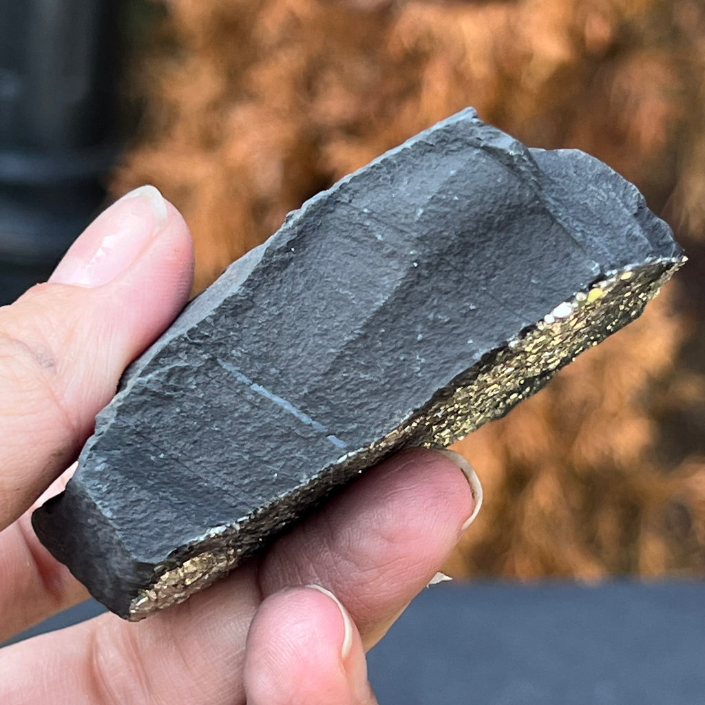 Shungit cu pirita model 8, druzy.ro, cristale 4
