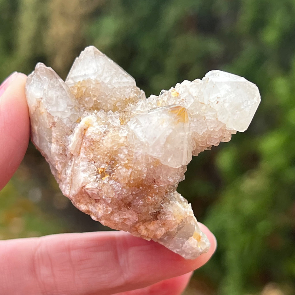 Cluster cuart spirit/cuart cactus mini model AF3/3, druzy.ro, cristale 1