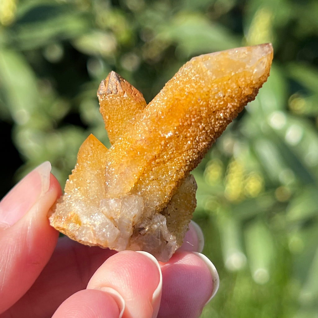 Cluster lemonit / cuart spirit solar Africa de Sud model 5, pietre semipretioase - druzy.ro 4 