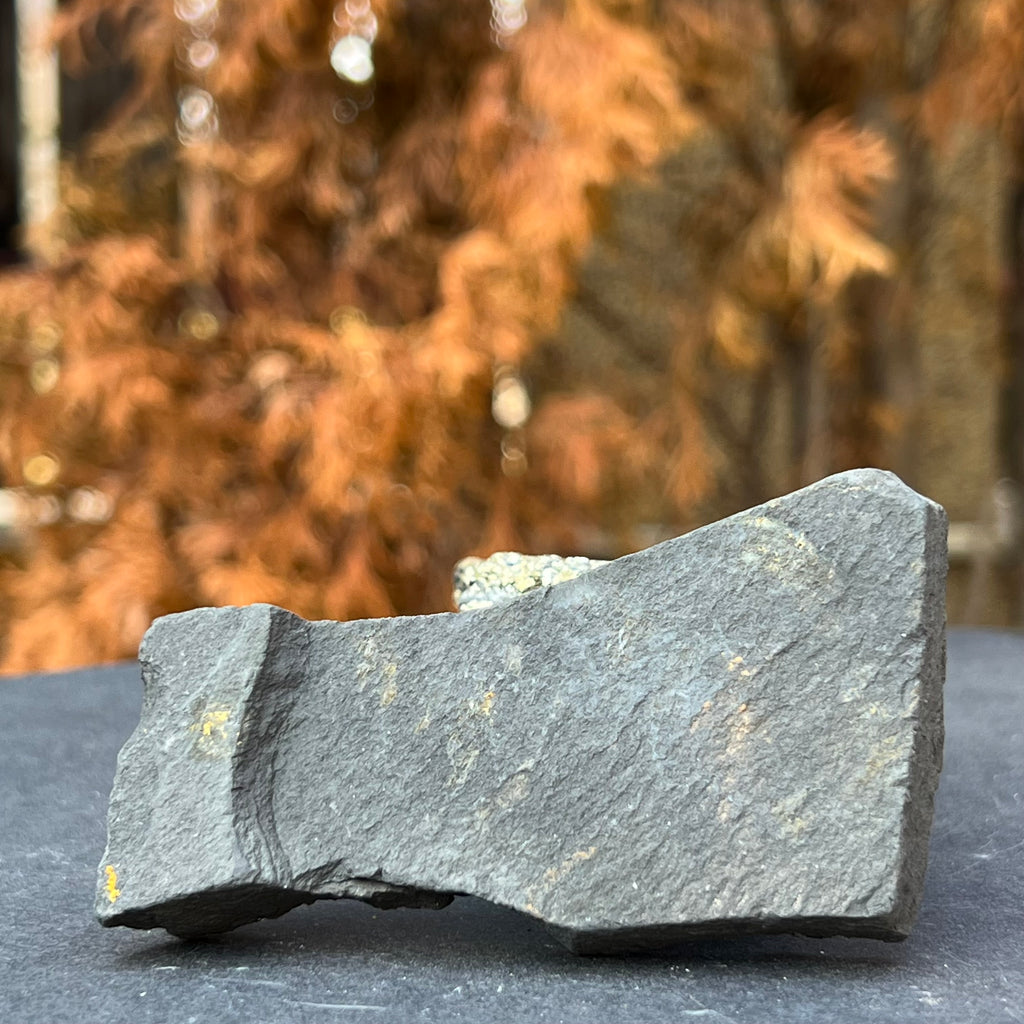 Shungit cu pirita model 2, druzy.ro, cristale 3