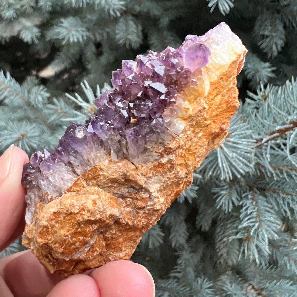 Ametist Spirit cluster Amethysos m13, druzy.ro, cristale 3