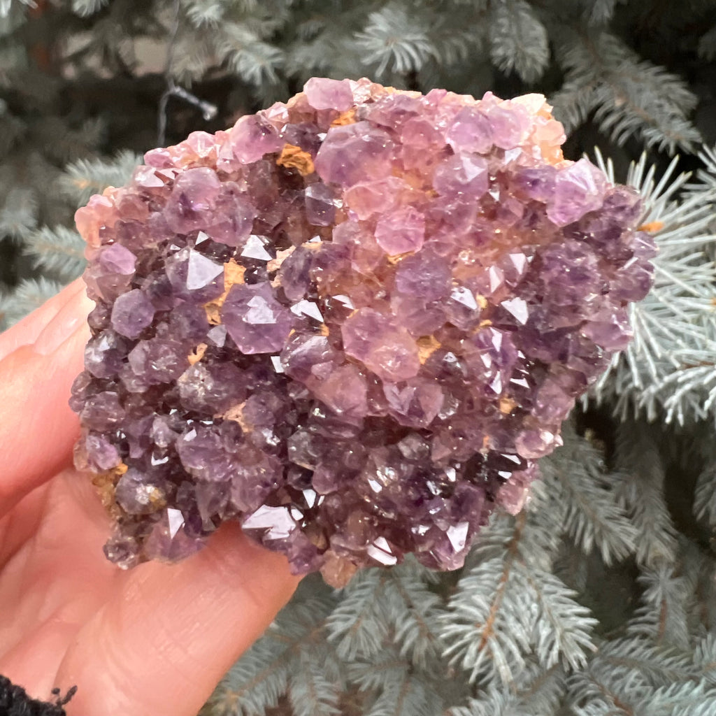 Ametist Spirit cluster Amethysos m5, druzy.ro, cristale 7