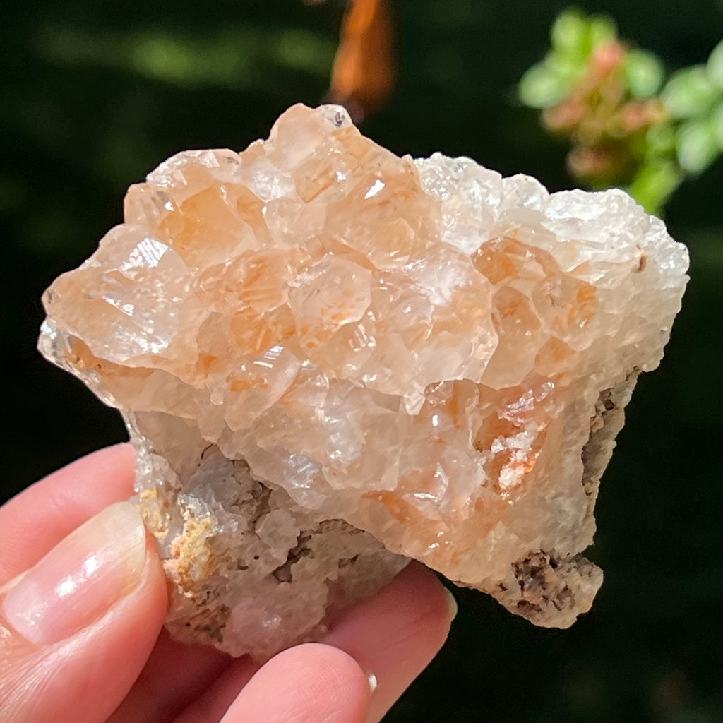 Cluster cuart lamaie Zambia, golden healer model Lm10, pietre semipretioase - druzy.ro 1