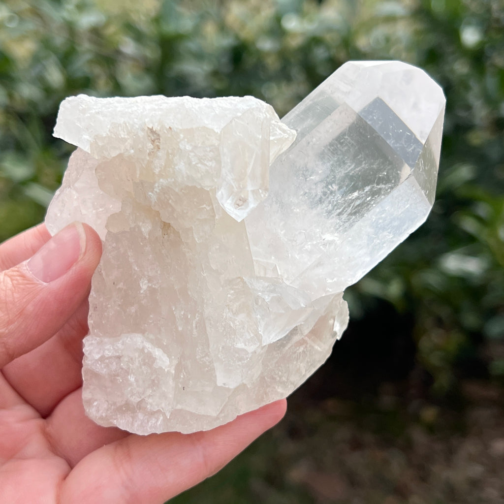 Varf cuart incolor natural, floare de mina L32, pietre semipretioase - druzy.ro 3 