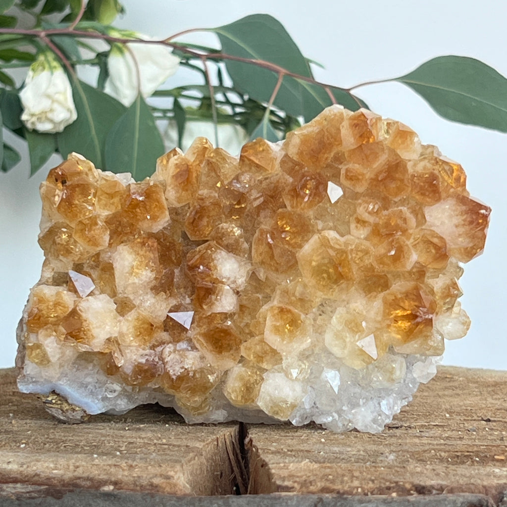 Cluster de Citrin tratat termic| Model 7, pietre semipretioase - druzy.ro 2 