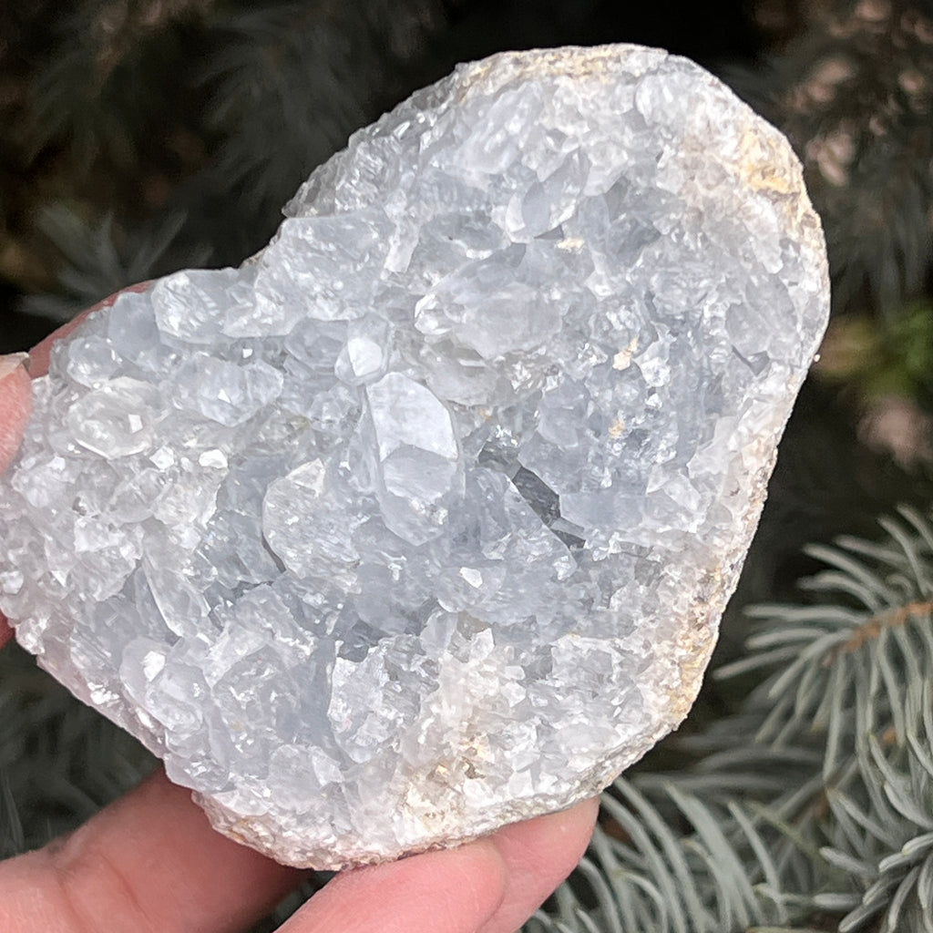 Celestit /celestina cluster m9, pietre semipretioase - druzy.ro 10 