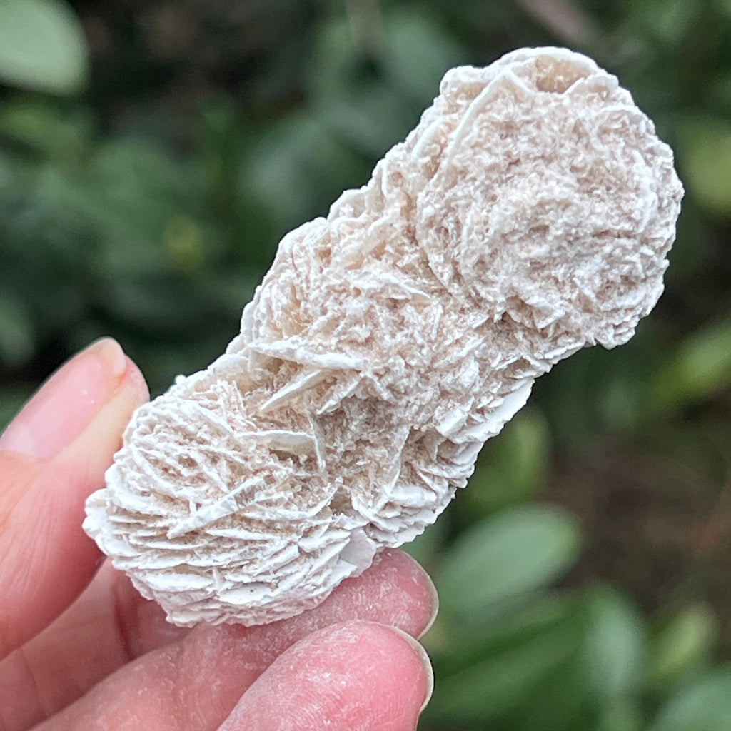 Trandafirul desertului model 5, pietre semipretioase - druzy.ro 4 