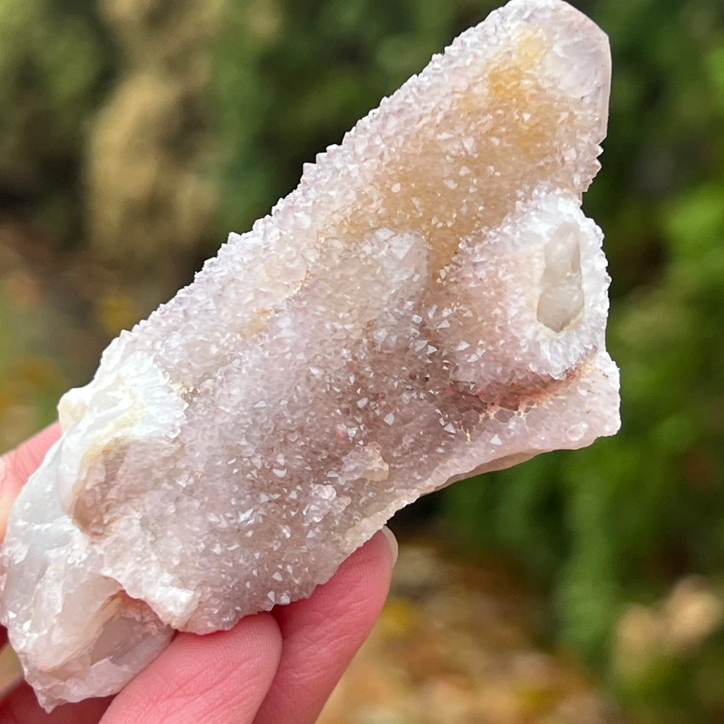Cluster cuart spirit/cuart cactus mini model AF3/12, druzy.ro, cristale 1