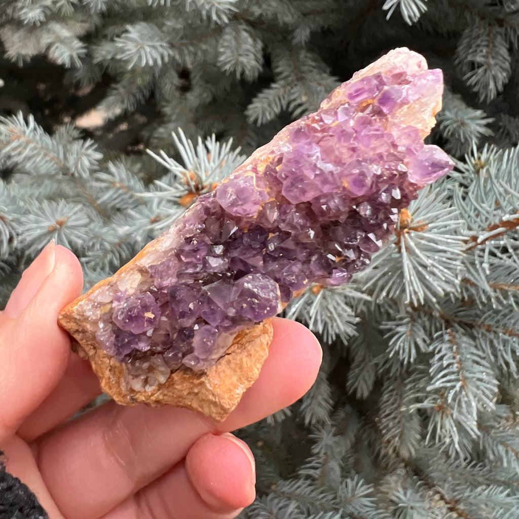 Ametist Spirit cluster Amethysos m13, druzy.ro, cristale 2