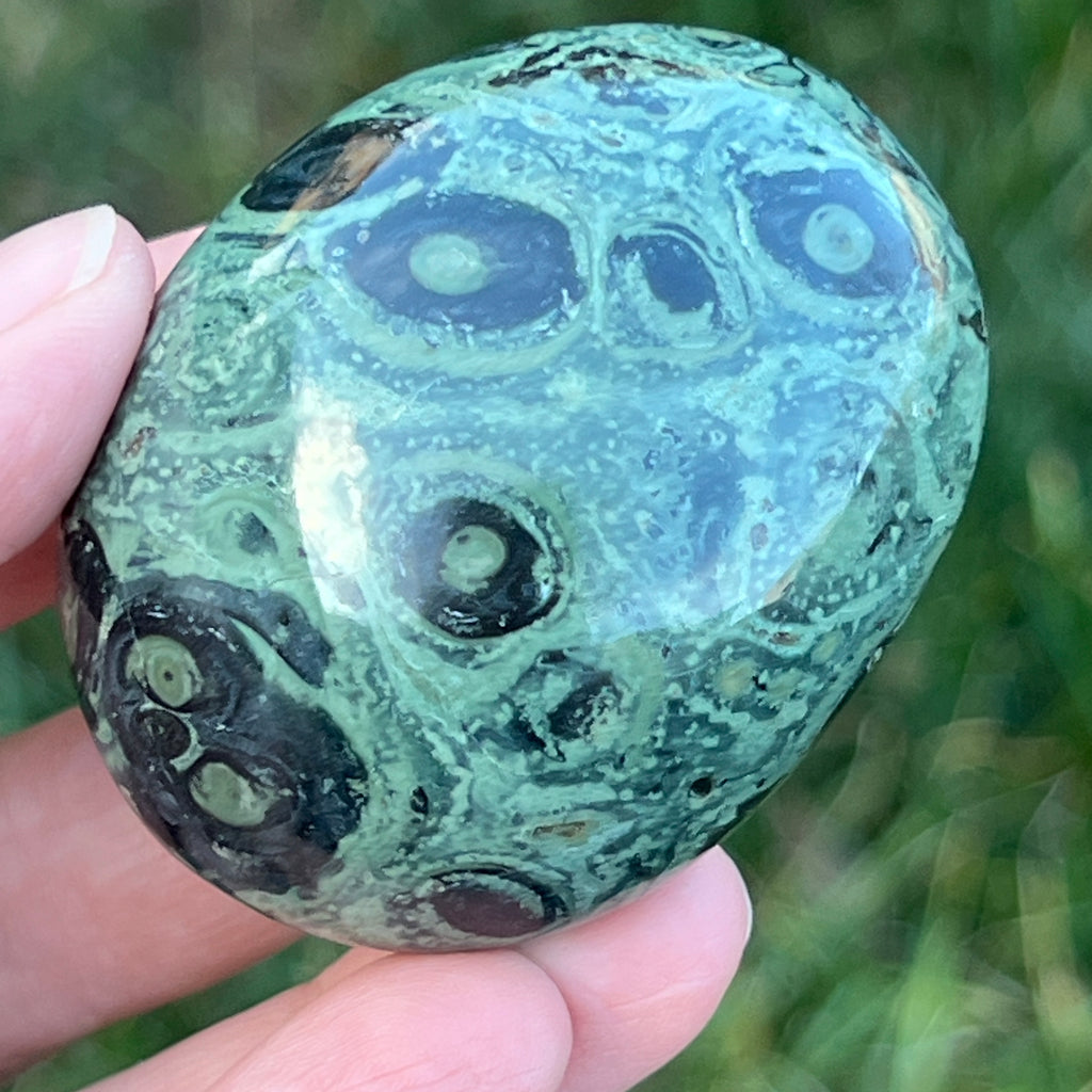 Palmstone jasp kambaba model 4, pietre semipretioase - druzy.ro 2 
