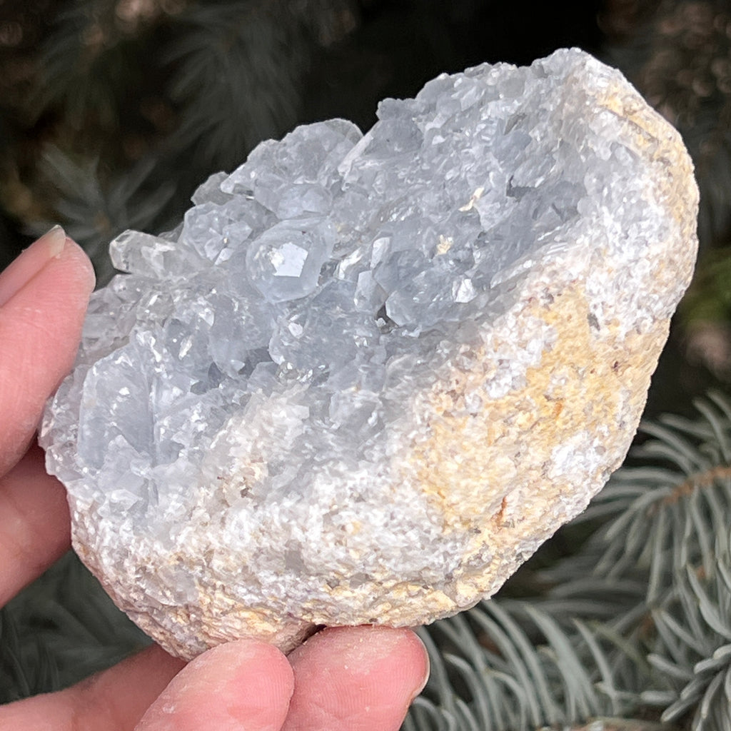 Celestit /celestina cluster m9, pietre semipretioase - druzy.ro 7 