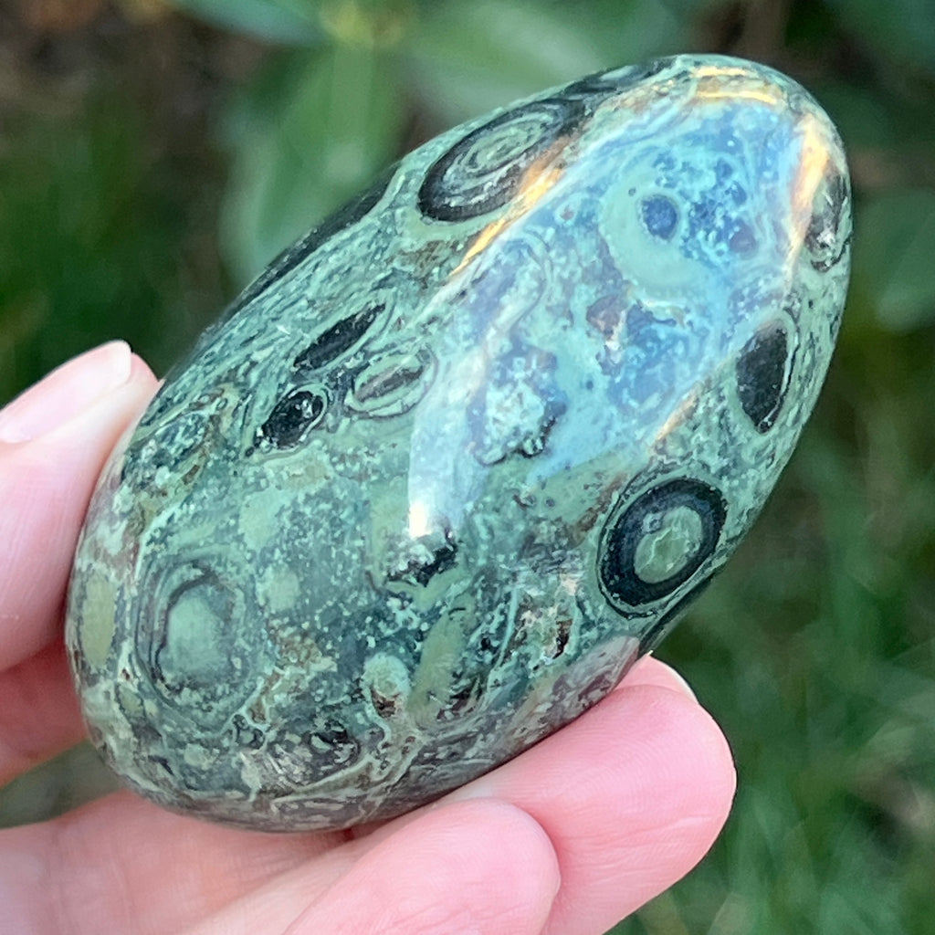 Palmstone jasp kambaba model 10, pietre semipretioase - druzy.ro 9 