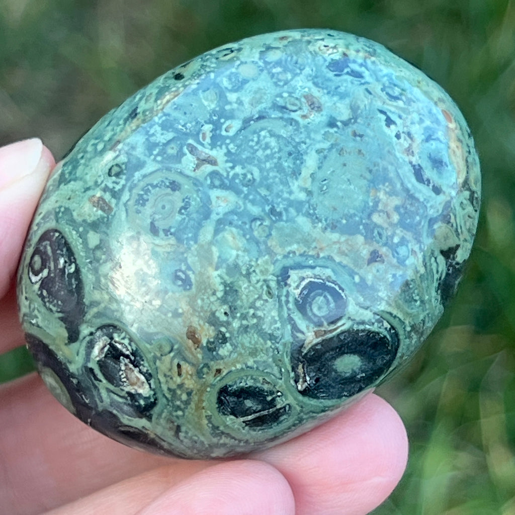 Palmstone jasp kambaba model 4, pietre semipretioase - druzy.ro 7 