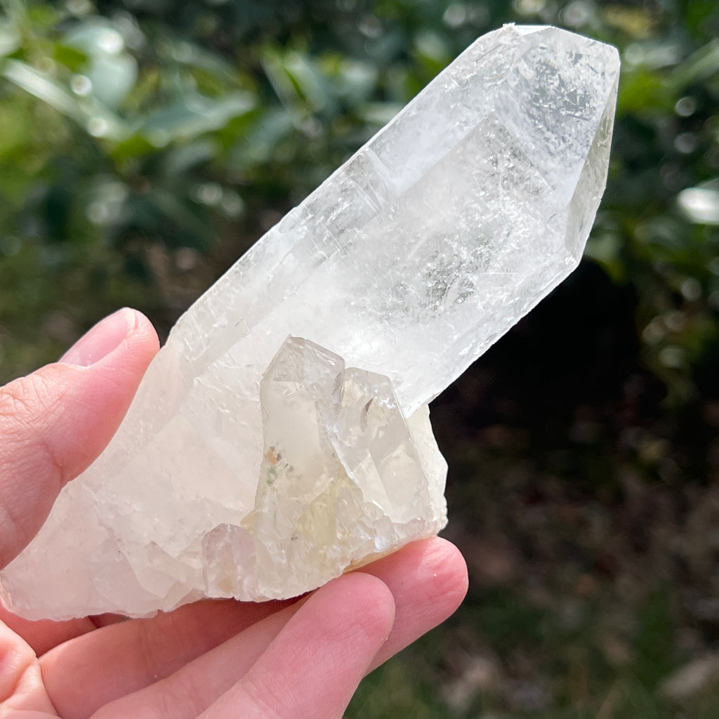 Varf cuart incolor natural, floare de mina L20, pietre semipretioase - druzy.ro 3 