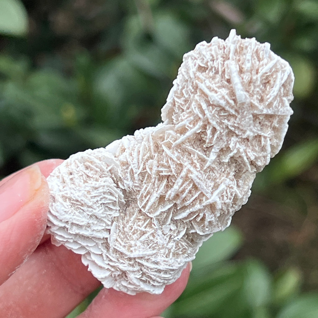 Trandafirul desertului model 5, pietre semipretioase - druzy.ro 1 