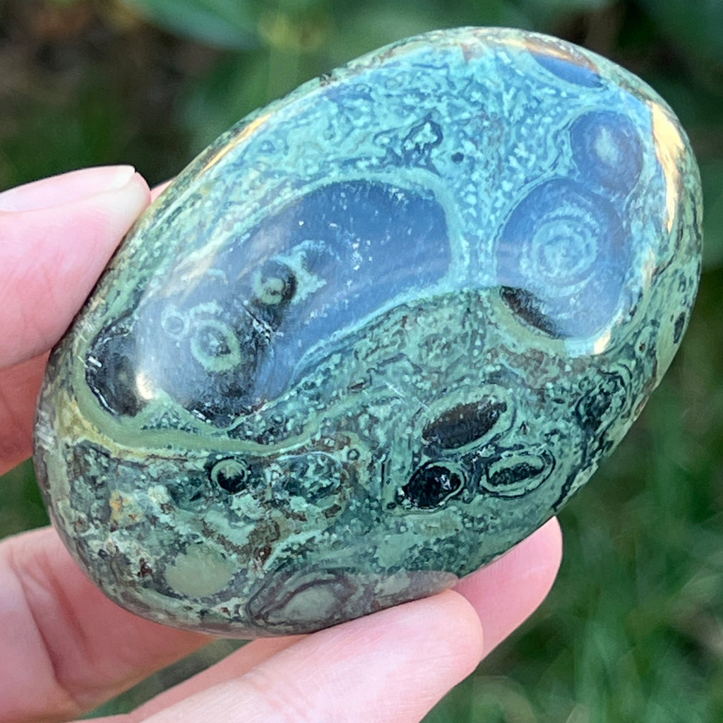 Palmstone jasp kambaba model 10, pietre semipretioase - druzy.ro 1 