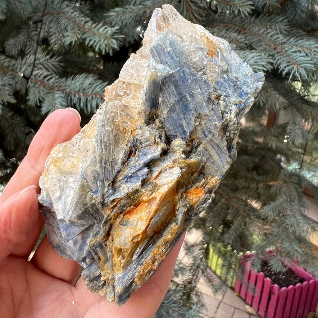 Kianit albastru (Cianit) piatra bruta din Zimbabwe model 9, druzy.ro, cristale 4