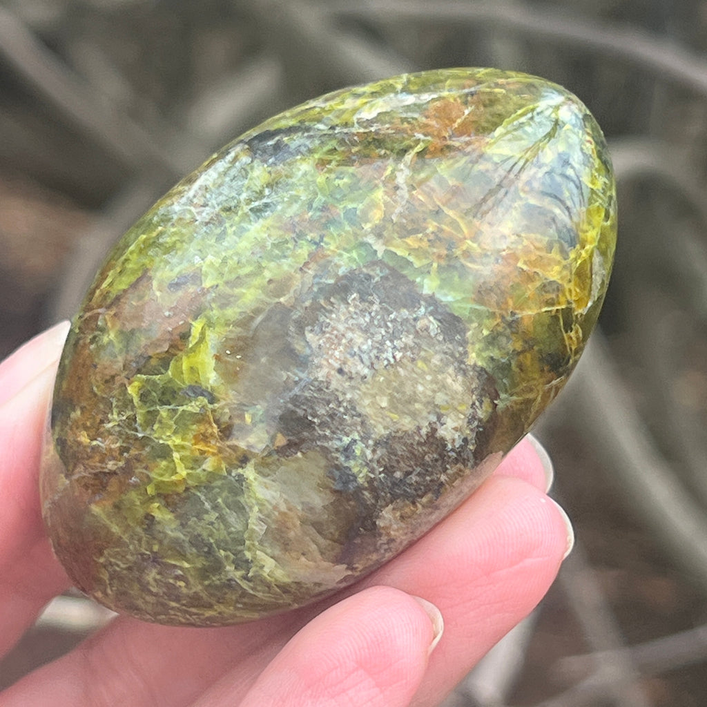 Opal verde palmstone m5, pietre semipretioase - druzy.ro 5 