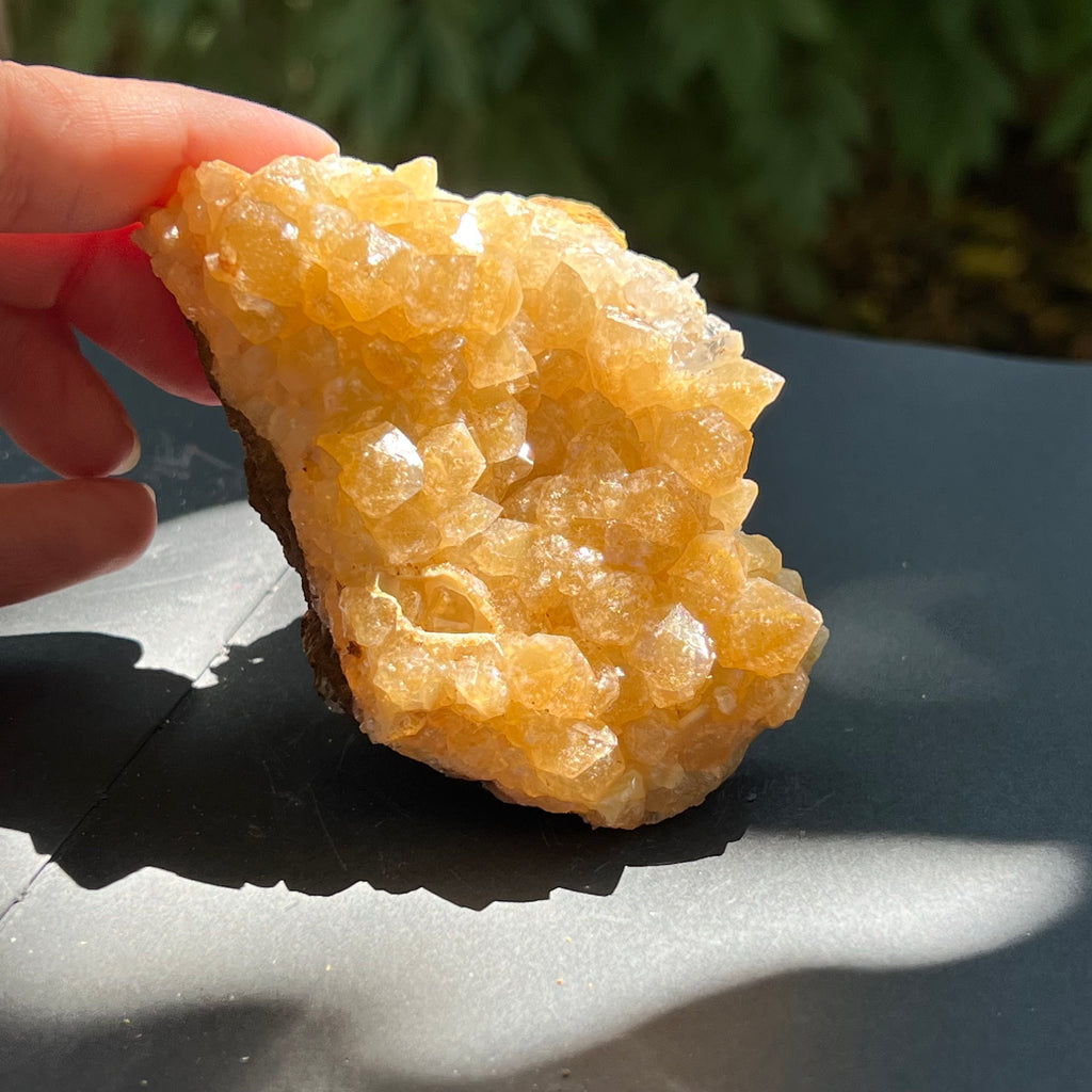 Cluster cuart lamaie, golden healer 5A/3, Zambia, pietre semipretioase - druzy.ro 4