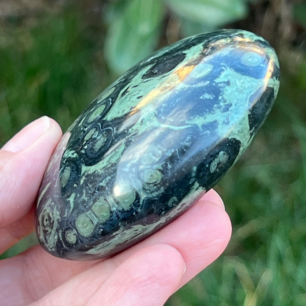 Palmstone jasp kambaba model 9, pietre semipretioase - druzy.ro 6 