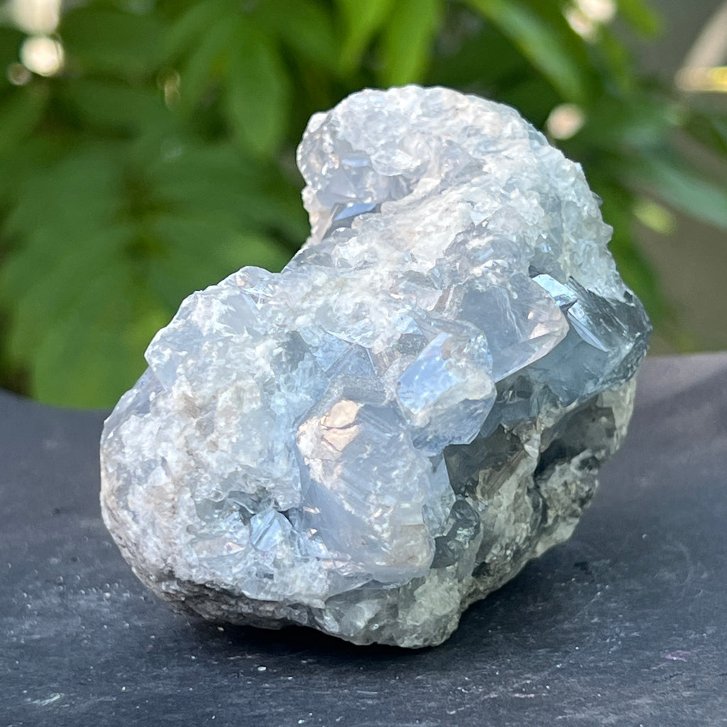 Celestit / celestina cluster m16, pietre semipretioase - druzy.ro 6 