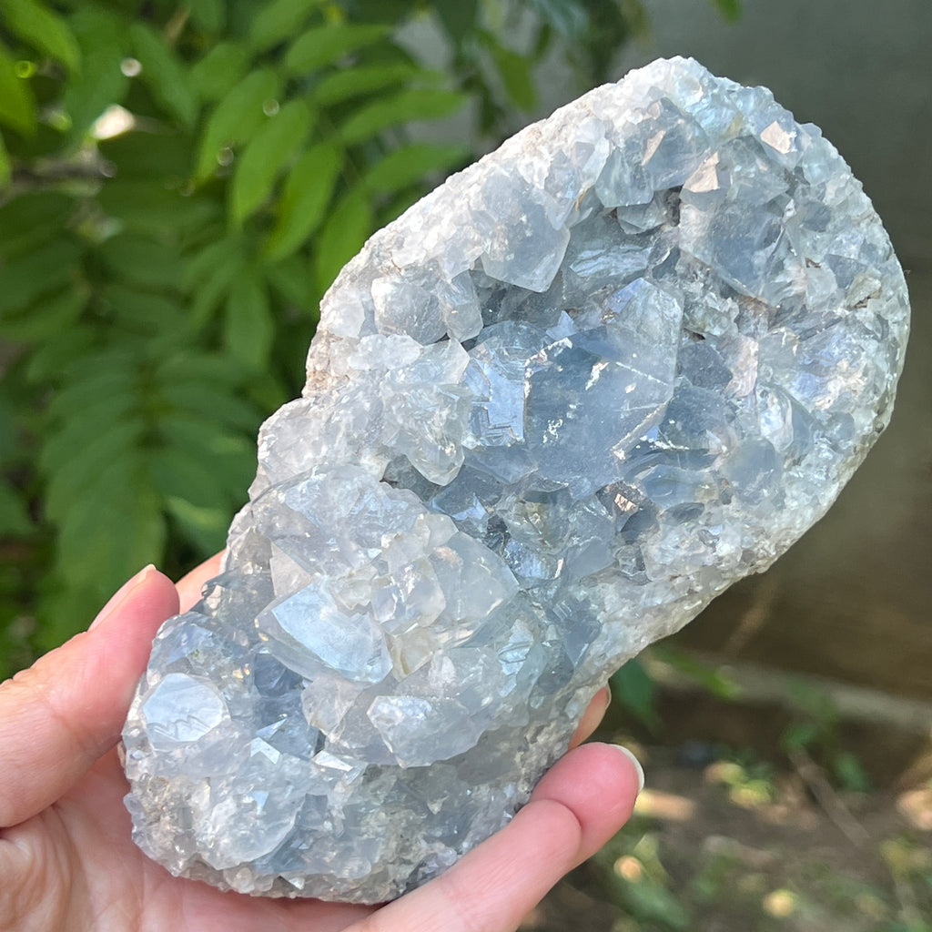 Celestit / celestina cluster m6, pietre semipretioase - druzy.ro 9 
