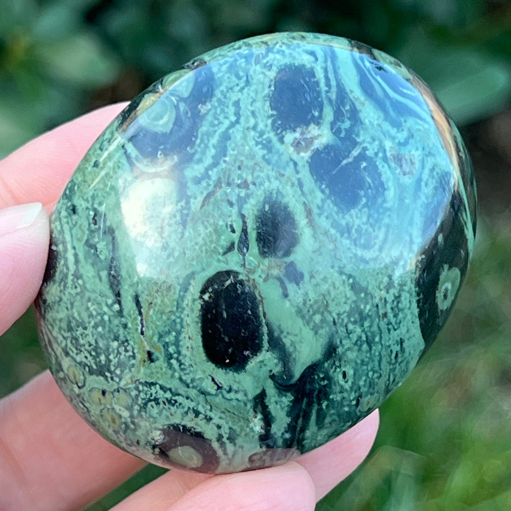 Palmstone jasp kambaba model 5, pietre semipretioase - druzy.ro 2 