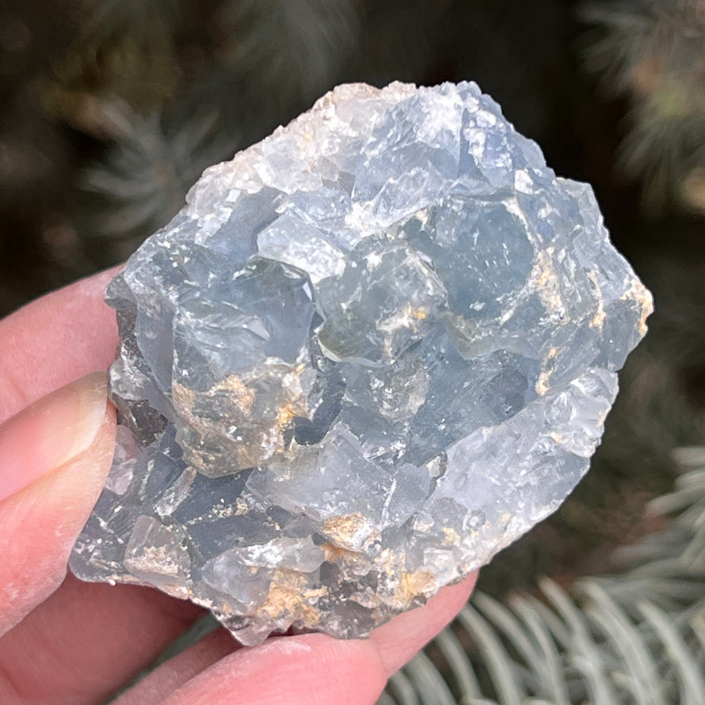 Celestit / celestina cluster m24, pietre semipretioase - druzy.ro 1 