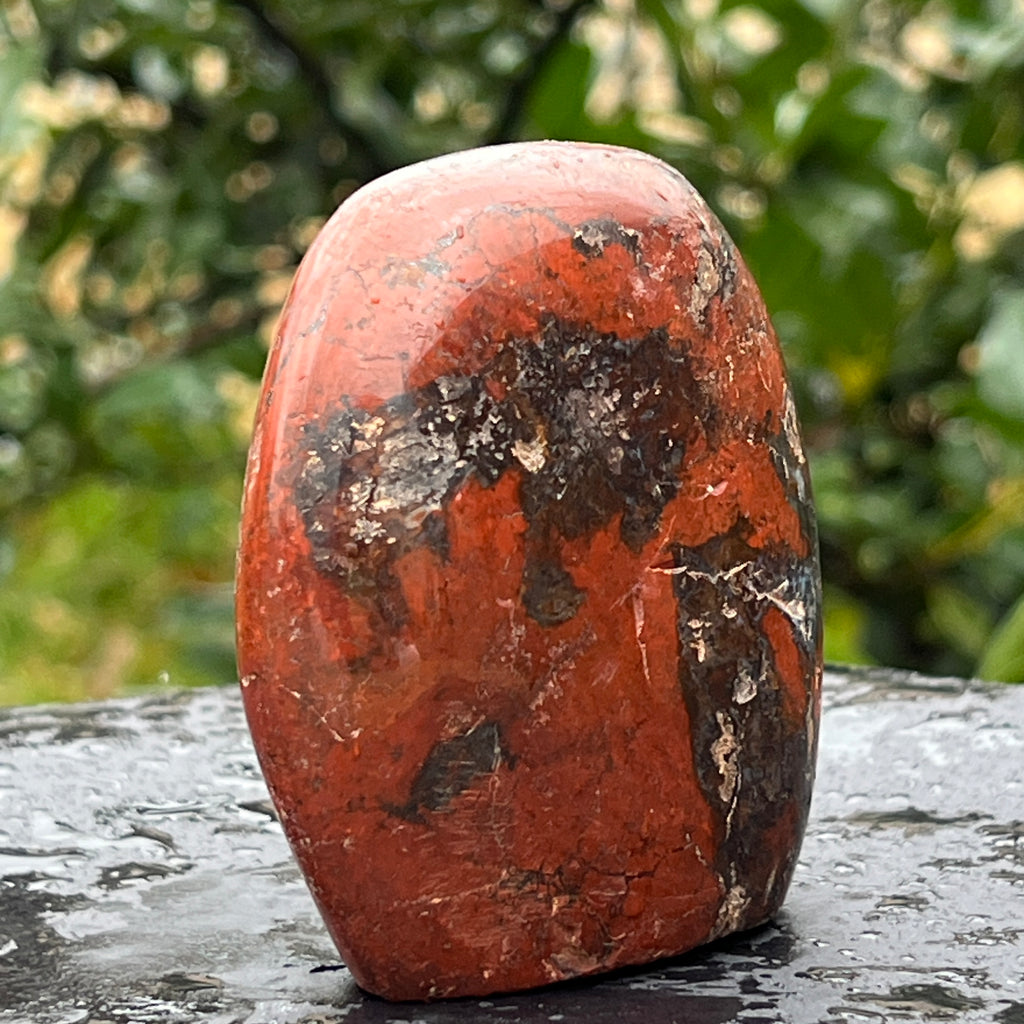 Jasp rosu forma libera model 4a/6 din Madagascar, pietre semipretioase - druzy.ro 2 