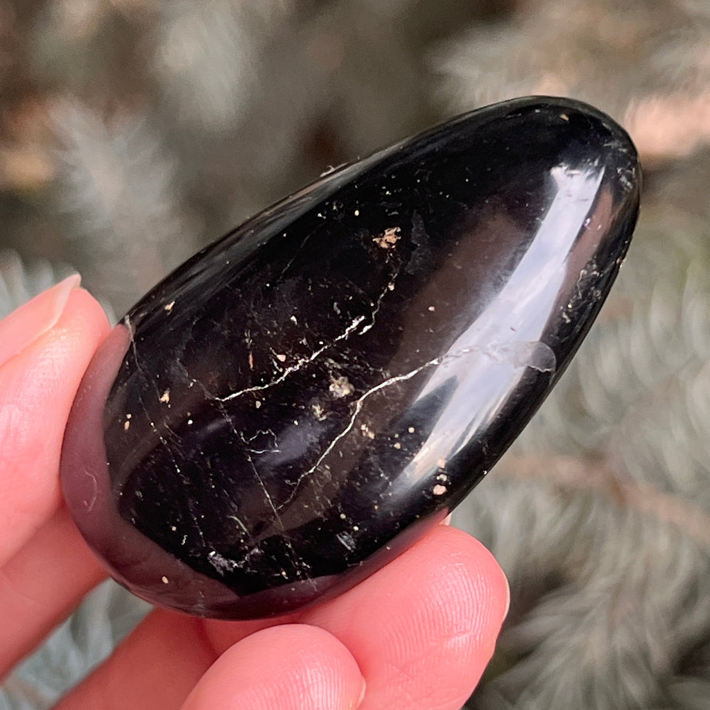 Turmalina neagra palmstone m16, pietre semipretioase - druzy.ro 2 