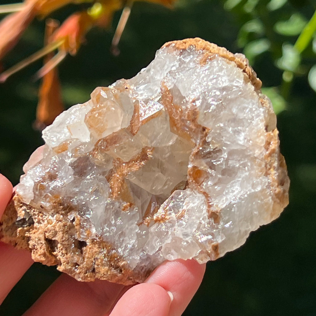 Cluster cuart lamaie Zambia, golden healer model Lm7, pietre semipretioase - druzy.ro 2
