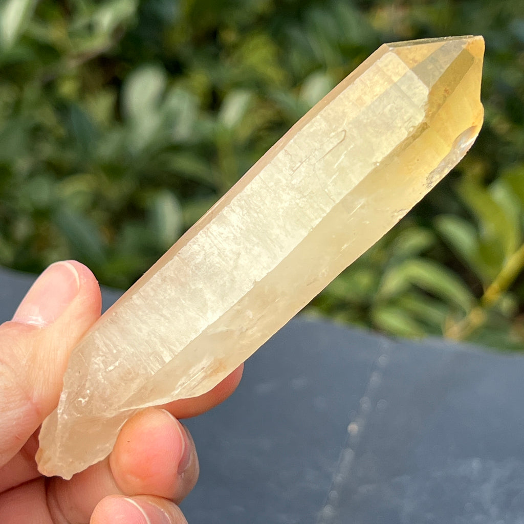 Varf citrin mina Luena, Congo model 3, pietre semipretioase - druzy.ro 1 