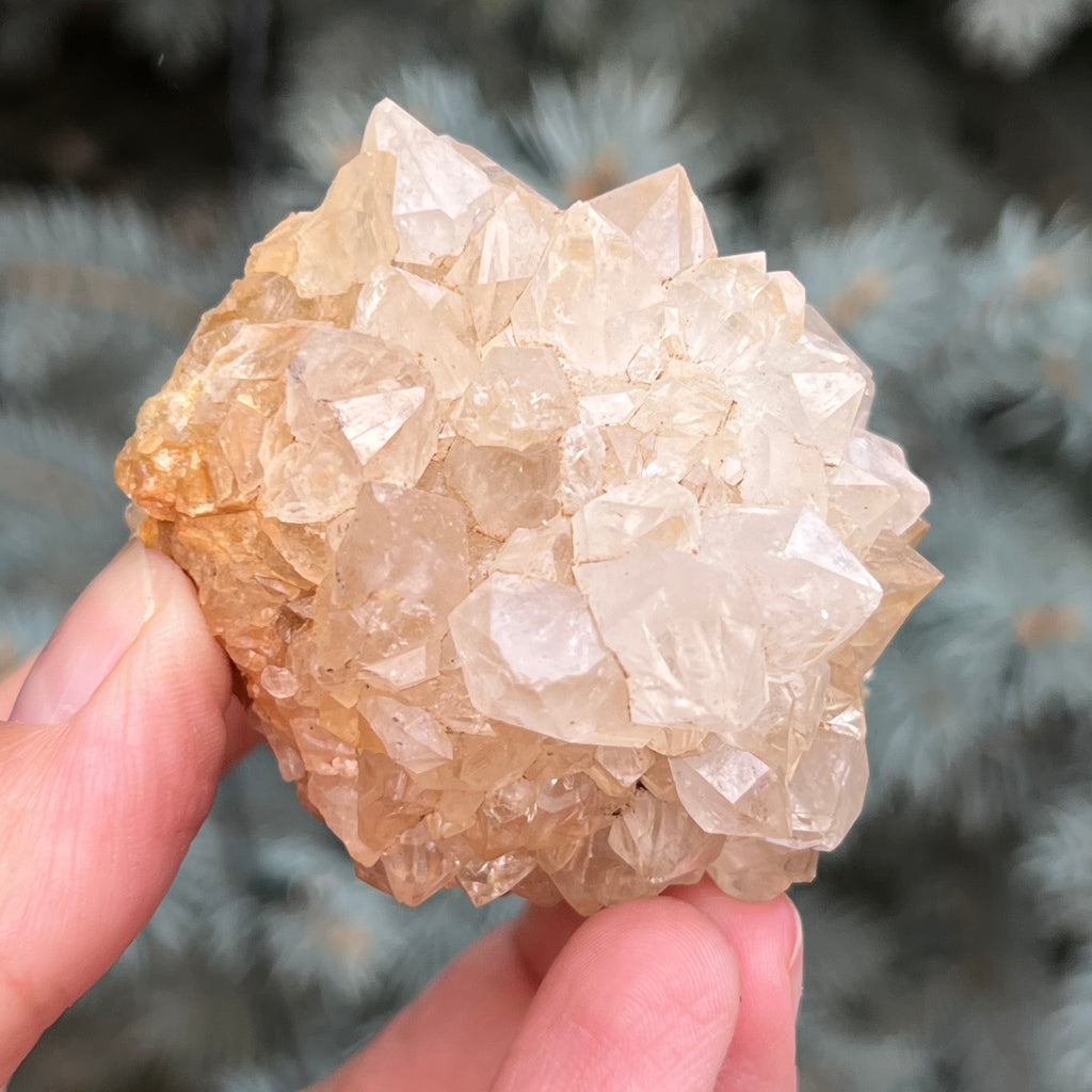 Cluster cuart cactus / cuart spirit model 41, druzy.ro, cristale 5