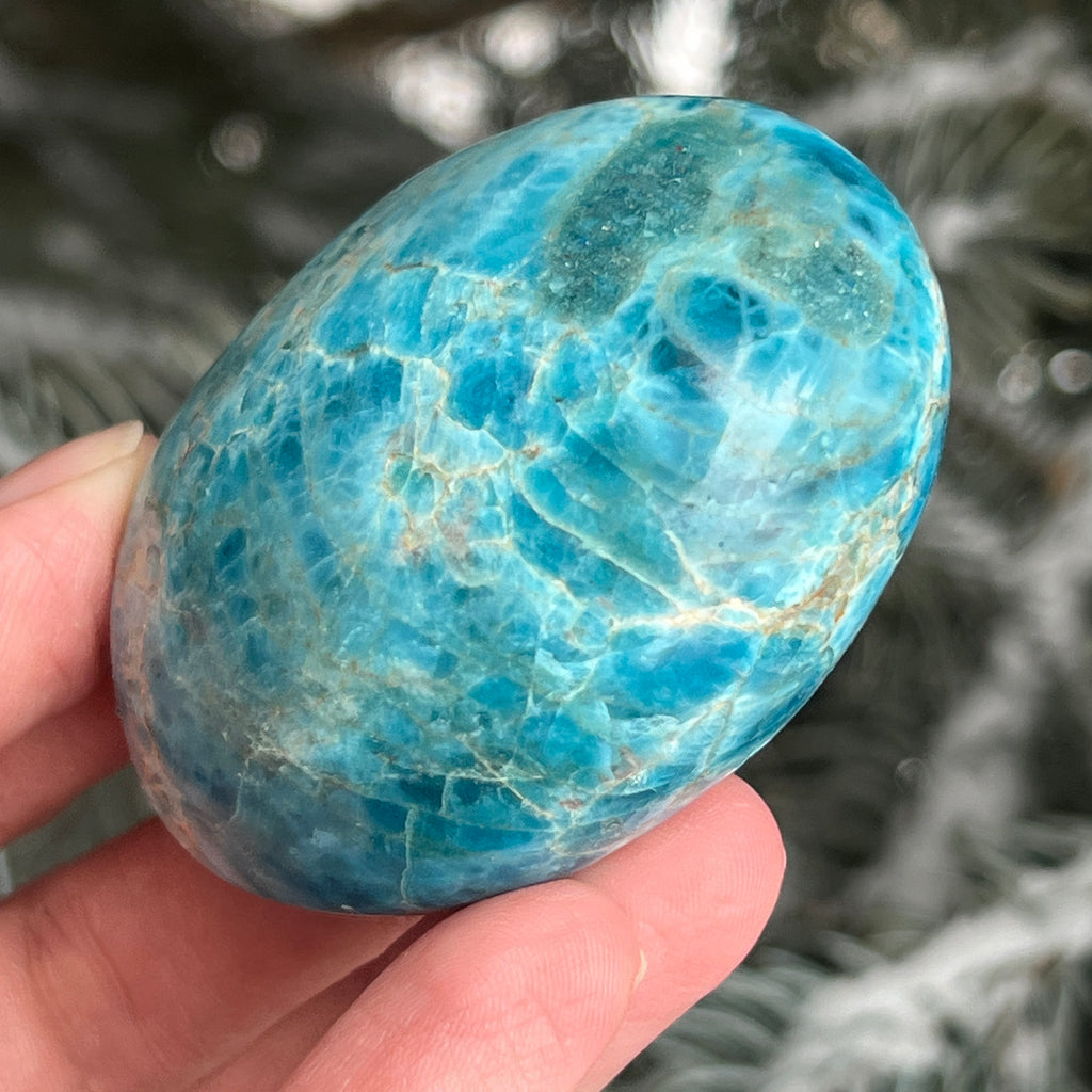Apatit rulat palmstone model 12, pietre semipretioase - druzy.ro 2 