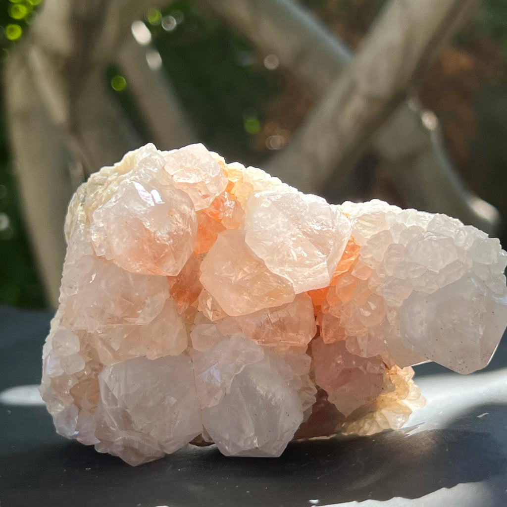 Cluster cuart cactus / cuart spirit FLOWER model F7, druzy.ro, pietre semipretioase 4